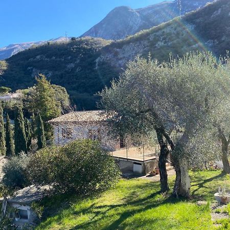 マルチェージネOlive Grove Houseアパートメント エクステリア 写真