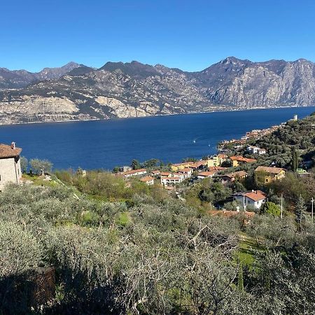 マルチェージネOlive Grove Houseアパートメント エクステリア 写真
