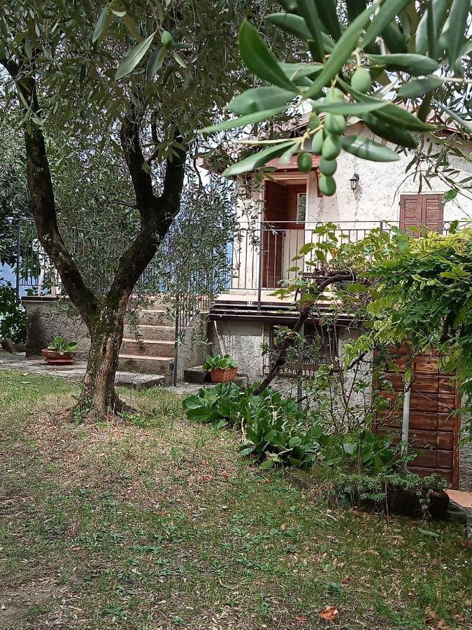 マルチェージネOlive Grove Houseアパートメント エクステリア 写真