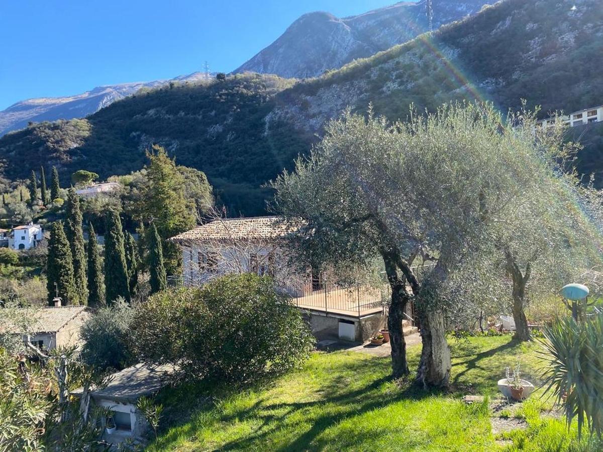 マルチェージネOlive Grove Houseアパートメント エクステリア 写真