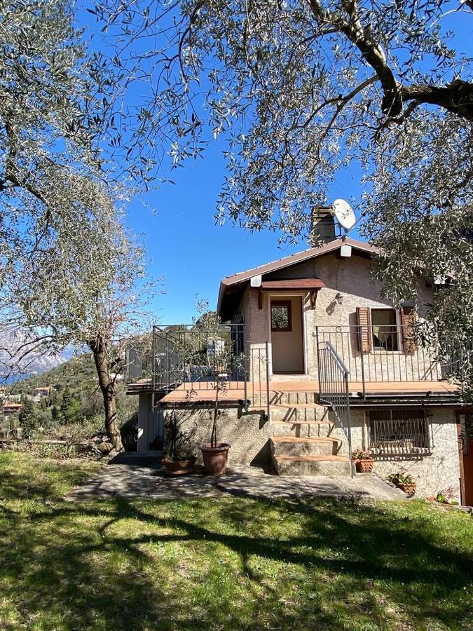 マルチェージネOlive Grove Houseアパートメント エクステリア 写真