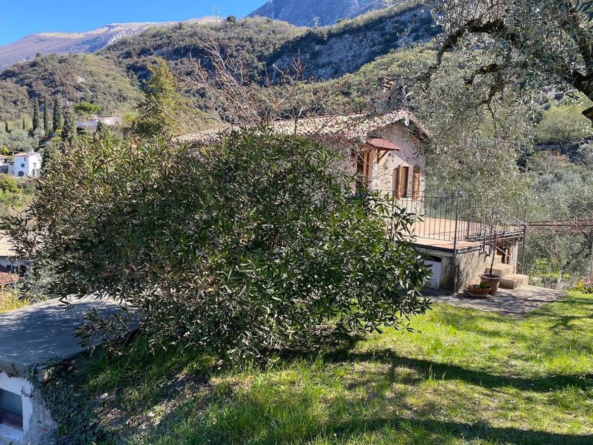 マルチェージネOlive Grove Houseアパートメント エクステリア 写真