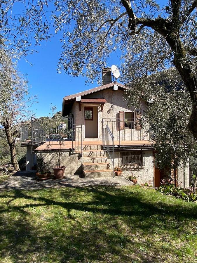 マルチェージネOlive Grove Houseアパートメント エクステリア 写真