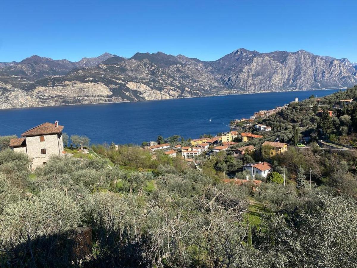 マルチェージネOlive Grove Houseアパートメント エクステリア 写真