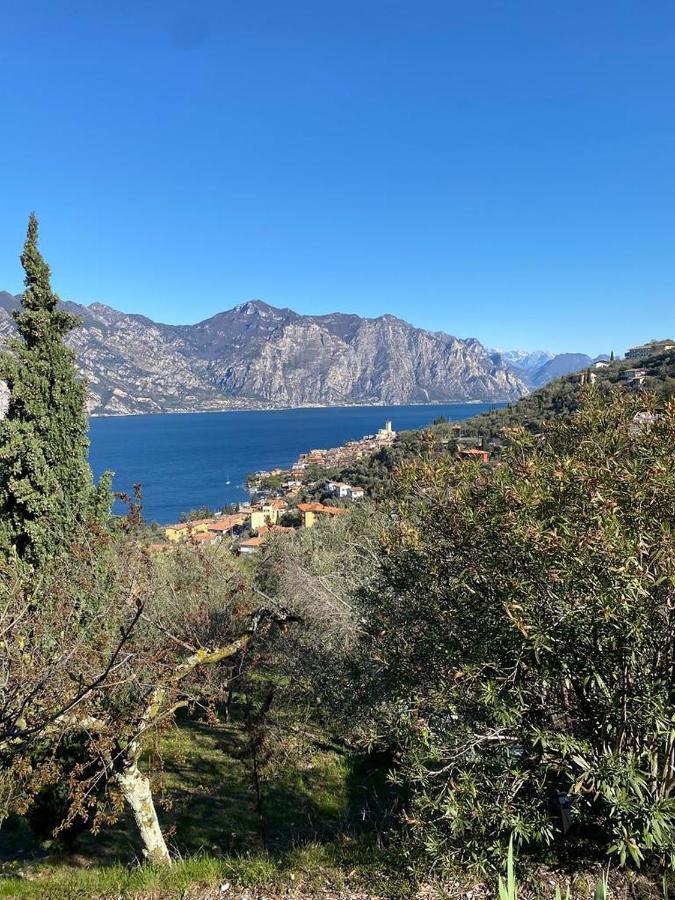 マルチェージネOlive Grove Houseアパートメント エクステリア 写真